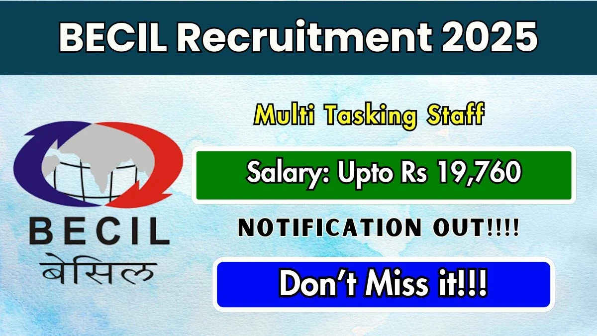 Government Job Opportunity: Recruitment Announcement for Various Positions