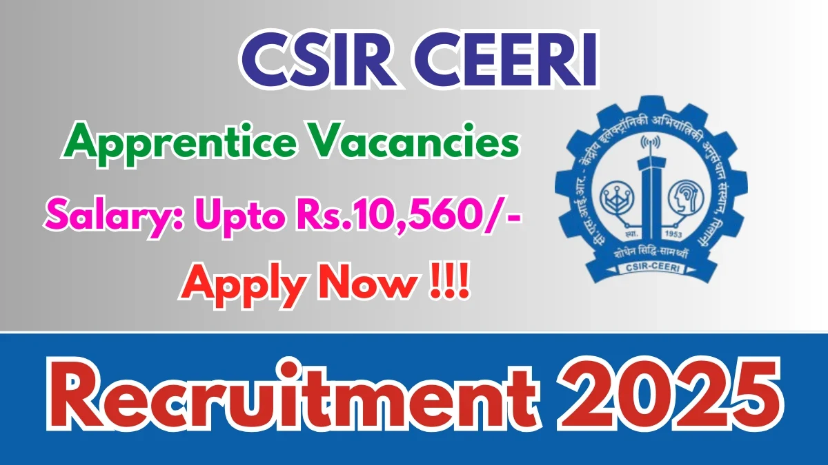 Exciting Government Job Opportunity: Join the Next Phase of Recruitment