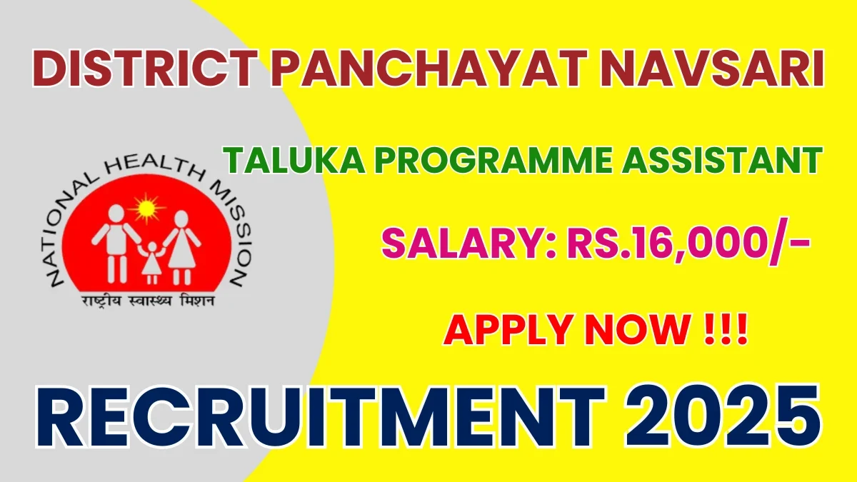 District Panchayat Navsari Taluka Programme Assistant Recruitment 2025 – Apply Online Now